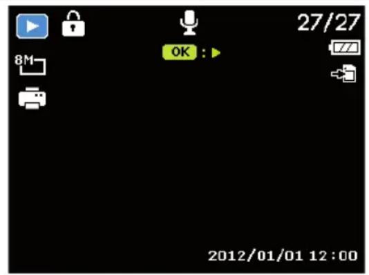 MEDION LIFE X44022 (MD 86922) - Playing back single recordings - 1