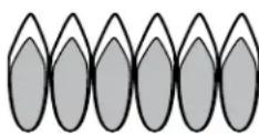 THERMADOR PRD364WDGU - Flame characteristics - 2