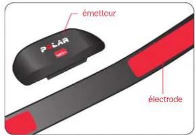 NIKE SportBand - Ajouter vos données de fréquence cardiaque à votre course - 1