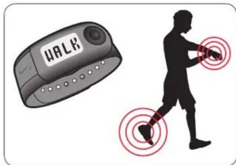 NIKE SportBand - Vousieràplusd'uncapteur - 2