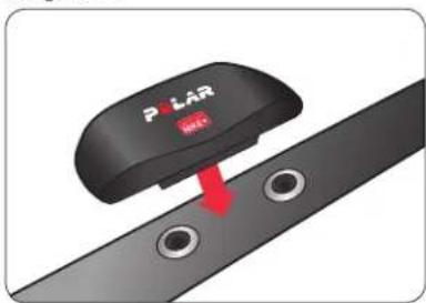NIKE SportBand - PORTER L'EMETTEUR POLAR WEARLINK - 3