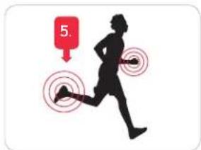 NIKE SportBand - Guide de démarrage rapide - 5