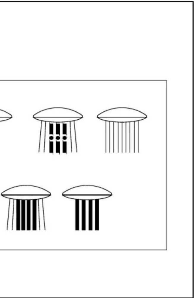 MIOMARE IAN 279524 - COLUMN A DE DUCHA CON LEDES - 13