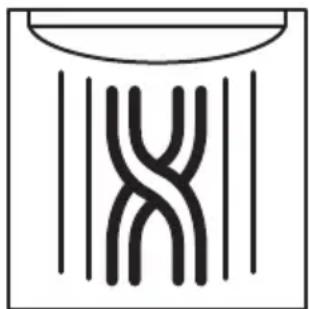 MIOMARE IAN 311421 - Einleitung - 1