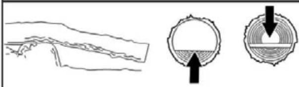 POULAN Pro PR28CD - TYPES OF BUCKING CUTS - 4