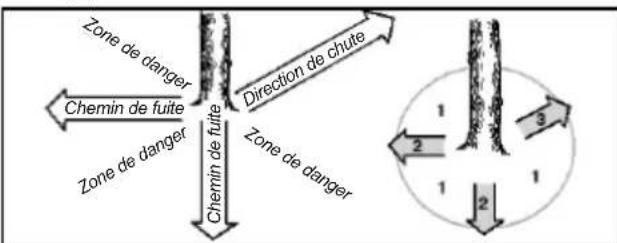 POULAN Pro PR240 - PLANIFICATION - 2