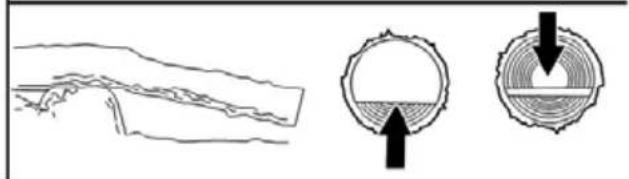 POULAN Pro PR240 - TYPES OF BUCKING CUTS - 4
