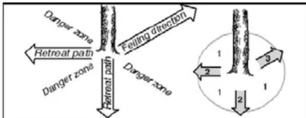 POULAN Pro PR240 - PLANNING - 2