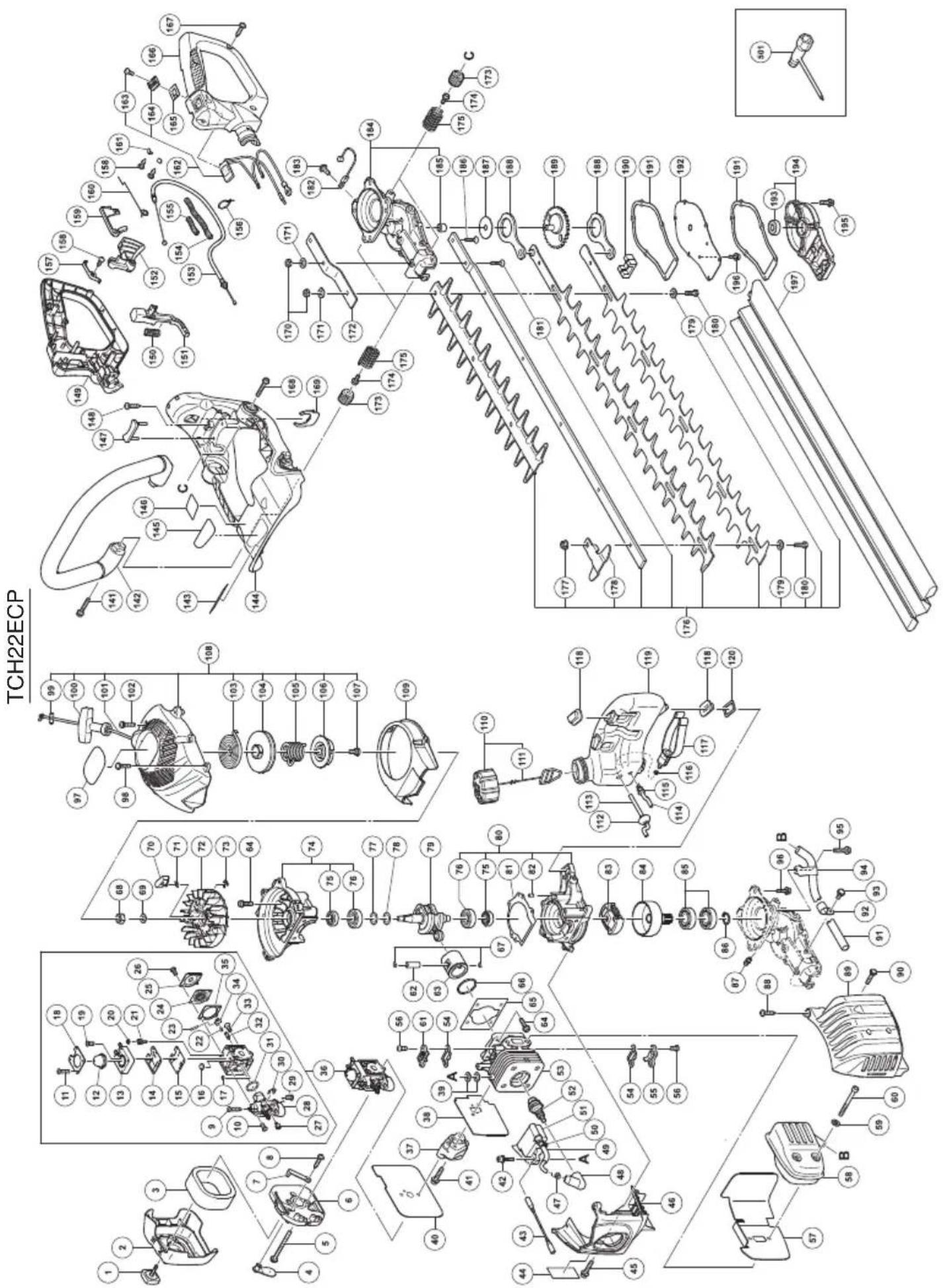 Tanaka TCH 22EAP - Cuidados mensuales - 4