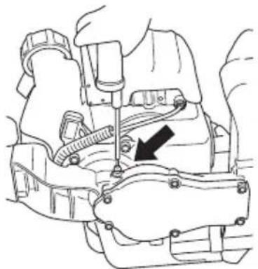 Tanaka TCH 22EAP - Caja de engranajes (Fig. 14) - 1