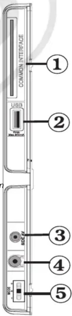 ESSENTIELB Melia 26 - Connexions latérales - 1