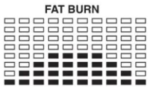 Christopeit EM 20 - LCD Workout Graphics - 11