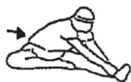 Christopeit CT 4 - Exercices d'échauffement (Warm Up) - 3