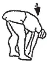 Christopeit CT 4 - Warm up exercises (Warm Up) - 2