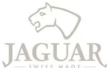 JAGUAR J667 - Hinwcis: - 1