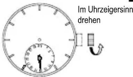 ORIENT Contemporary FA06003Y - EINSTellenDES DATUMS - 2