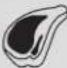 Fulgor Milano FCMO 4507 TM WH - Funzione di Scongelamento a Peso - 4