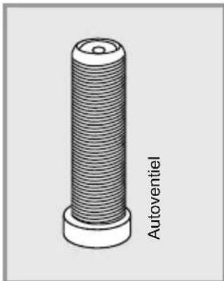 Flyer Gotour5 - Ventieltype van de binnenbanden van uw FLYER e-bike - 1