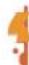 NINTENDO Wii Sports Resort (Wii) - Sélectionner un Mii - 2