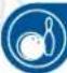 NINTENDO Wii Sports Resort (Wii) - Return Challenge - 2