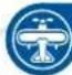 NINTENDO Wii Sports Resort (Wii) - Frisbee-Golf - 3