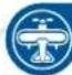NINTENDO Wii Sports Resort (Wii) - Skydiving - 5