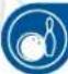 NINTENDO Wii Sports Resort (Wii) - Retours en folie - 2
