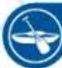 NINTENDO Wii Sports Resort (Wii) - Efecto - 2