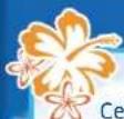 NINTENDO Wii Sports Resort (Wii) - Évadez-vous aux tropiques! - 1