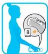 NINTENDO Wii Sports Resort (Wii) - Tirs de 3 points - 2