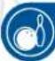 NINTENDO Wii Sports Resort (Wii) - Desafío de restos - 3