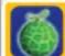 NINTENDO Donkey Kong Barrel Blast (Wii) - ED BALLOONS - 7