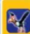 NINTENDO Donkey Kong Barrel Blast (Wii) - Ecran des résultats - 17