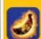 NINTENDO Donkey Kong Barrel Blast (Wii) - ED BALLOONS - 6