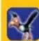 NINTENDO Donkey Kong Barrel Blast (Wii) - BLUE BALLOONS. - 2