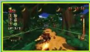 NINTENDO Donkey Kong Barrel Blast (Wii) - EGLAS BASICS - 1