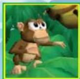 NINTENDO Donkey Kong Barrel Blast (Wii) - HURLEY? - 1
