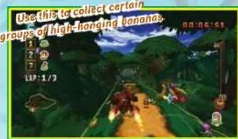NINTENDO Donkey Kong Barrel Blast (Wii) - MAINTAINING HEIGHT AFTER A LUMP - 1