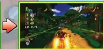 NINTENDO Donkey Kong Barrel Blast (Wii) - ILD MOVES - 3