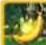 NINTENDO Donkey Kong Barrel Blast (Wii) - Cinco Bananas - 1