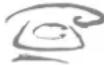 HOTPOINT-ARISTON PKL 641 D2IXHA - Assistenza Attiva 7 giorni su 7 - 1