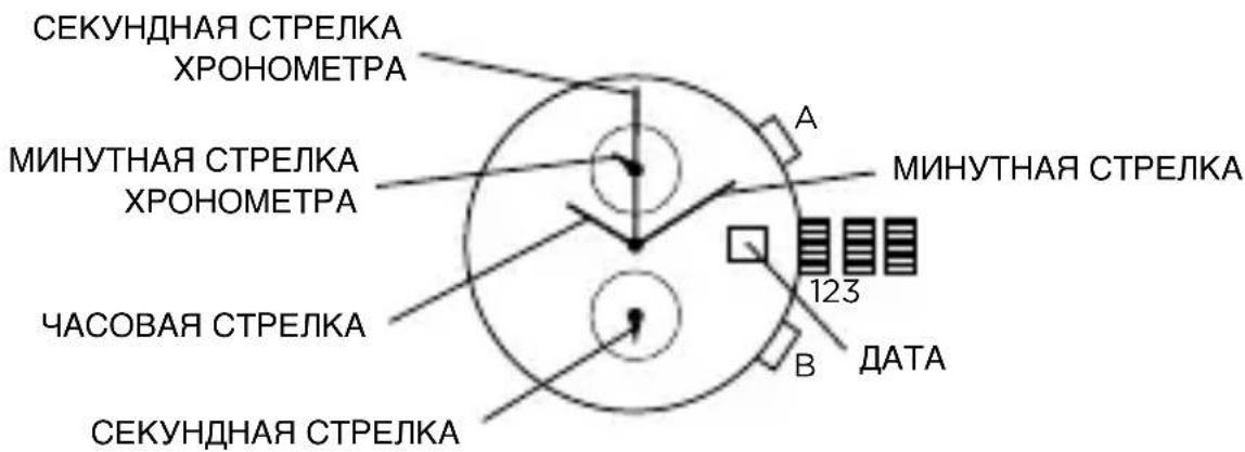 Armani AR2461 - YACbI C HECKOJIbKIMN UINΦEJPATAMN - 1