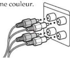 SONY TCTX5 - Raccordement de la chaine - 3