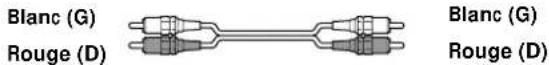 SONY STRDE845 - Cordons audio (non fournis) - 1