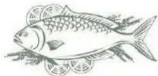 PROLINE BRF45 - Poisson et fruits de mer - 1
