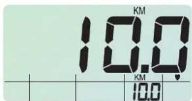 KETTLER Royal - Parcours d'entrainment Valeurs limites: 0 - 99 km - 2