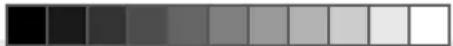 ULTIMATE SPEED UMK 10 C2 - - Componenti - 1