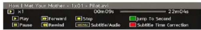 TECHWOOD VL47TV2011 - Video Playback - 1