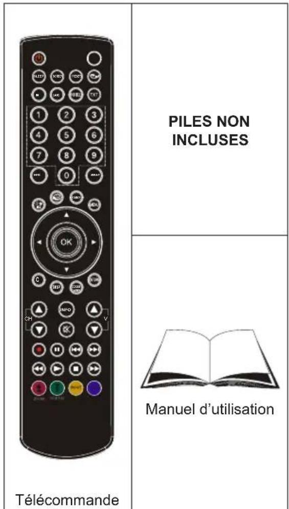 TECHWOOD VL47TV2011 - Contenu du carton - 1