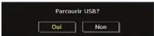 TECHWOOD VL47TV2011 - Navigateur média - 1